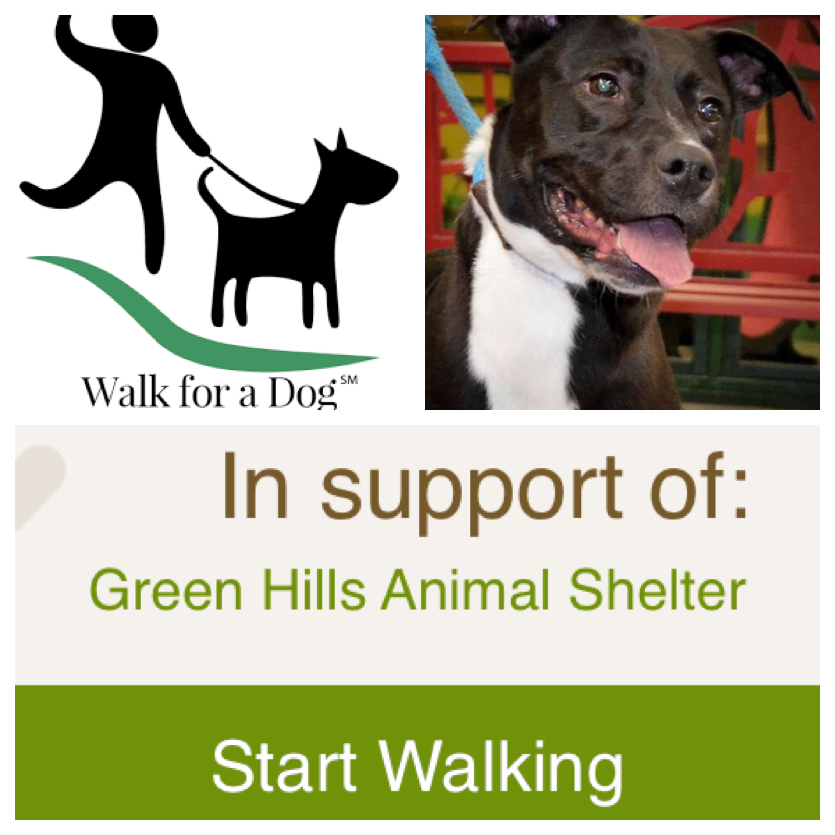 walk-for-a-dog-review-animal-shelter-app-reviews