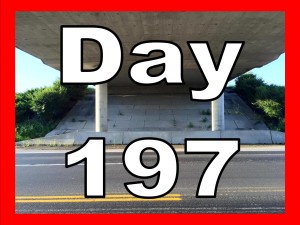 Day 197