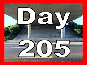 Major Tom (Coming Home) | Day 205