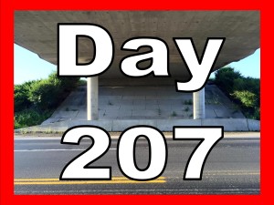 Day 207