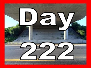 Day 222