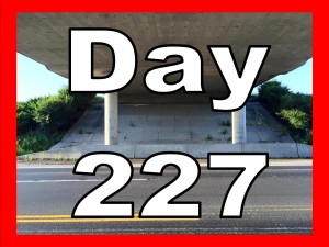 Day 227