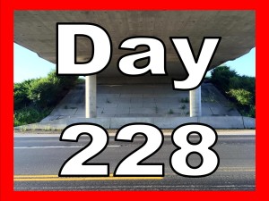 Day 228