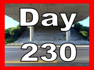 Day 230