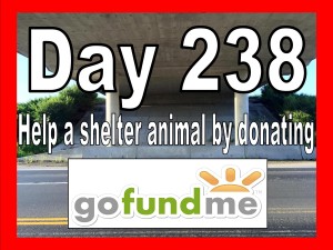 Can't Find My Way | Day 238