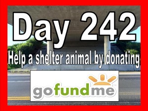 Sister Christian | Day 242