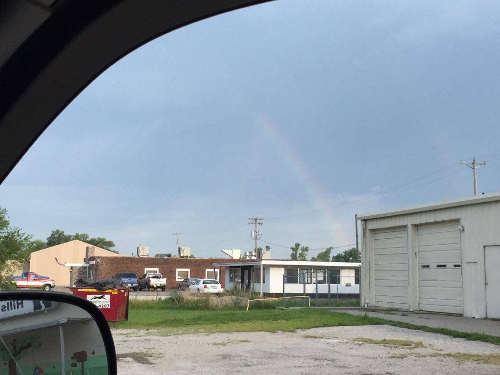 Dawn Rainbow